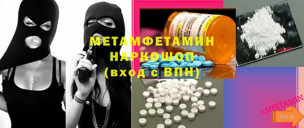 ГАЛЛЮЦИНОГЕННЫЕ ГРИБЫ Богданович