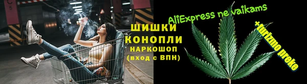 ГАЛЛЮЦИНОГЕННЫЕ ГРИБЫ Богданович