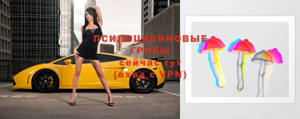 круглые Богородицк
