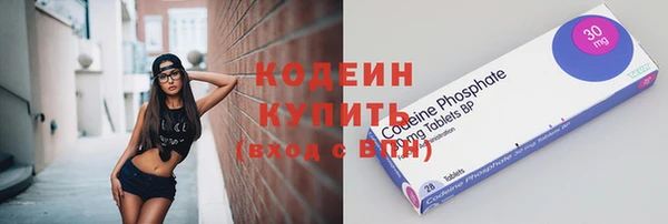 ГАЛЛЮЦИНОГЕННЫЕ ГРИБЫ Богданович
