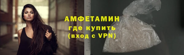 ГАЛЛЮЦИНОГЕННЫЕ ГРИБЫ Богданович