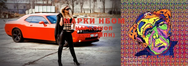 ГАЛЛЮЦИНОГЕННЫЕ ГРИБЫ Богданович