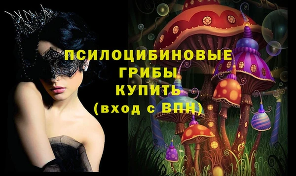 Альфа ПВП Богородск