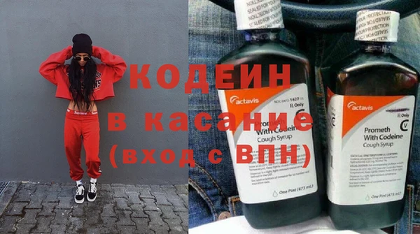 ГАЛЛЮЦИНОГЕННЫЕ ГРИБЫ Богданович