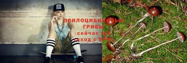 круглые Богородицк