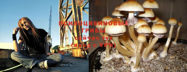 бутират Бугульма