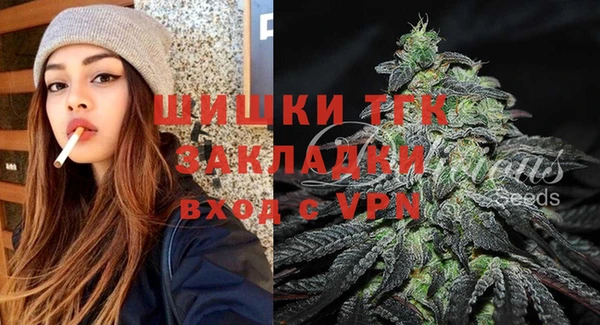 ГАЛЛЮЦИНОГЕННЫЕ ГРИБЫ Богданович