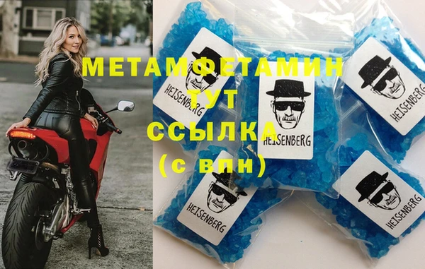 ГАЛЛЮЦИНОГЕННЫЕ ГРИБЫ Богданович